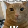 damirrba5gw