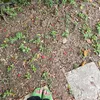 comchientrung35