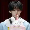 hueninguin7