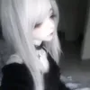 wqzhxx0