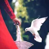 erty_54artyu