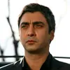 hh_ali313