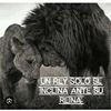 manuel.alvz5