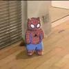 spidercat_2.0