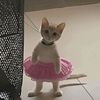 mysteriousqueen234