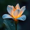 mohamad.fofana7