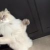 ellieboy59
