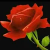 user631560077727
