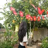 tl_thanhkhuyen06th9