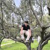 karaegemen