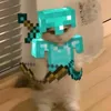 michi_7274