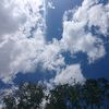 tamarindo_66