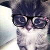 iamfernv3347