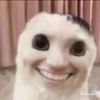 user439317109