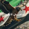 user2925414004705