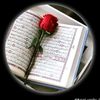 qurantranslation250