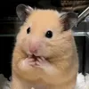 mudongtokio__