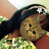 strawbbaiess_3225