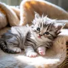 cutecats_ki