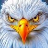 user19548232213618