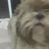luckyskyy7