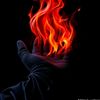 alimuhammed.ali12