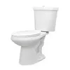 toilet5571