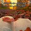 user3361499252734