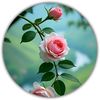user8116103002943