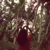 linata_20013