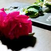 your_aru_3