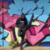 skyzoxs