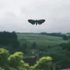 cuilkllllli