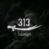 الامام ٣١٣﷽ ރ