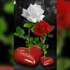 user7222910821582