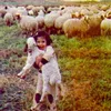 suad_141