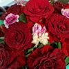 haticebanu8
