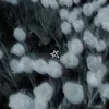 mina_367_534