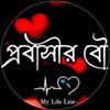mdsadin2781