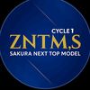 zntmsc1
