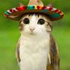 iluvseals_687
