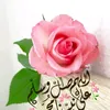 mohamedmajed034