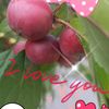 user1467116781614