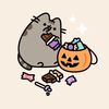 pusheen.cami