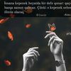 hesenov_offciall