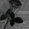user56848370288704