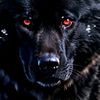 kartal7184