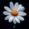 hseyin._02
