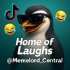 memelord_central