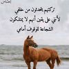 user4375282403787